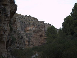 Rambla Perea-Mula 2018